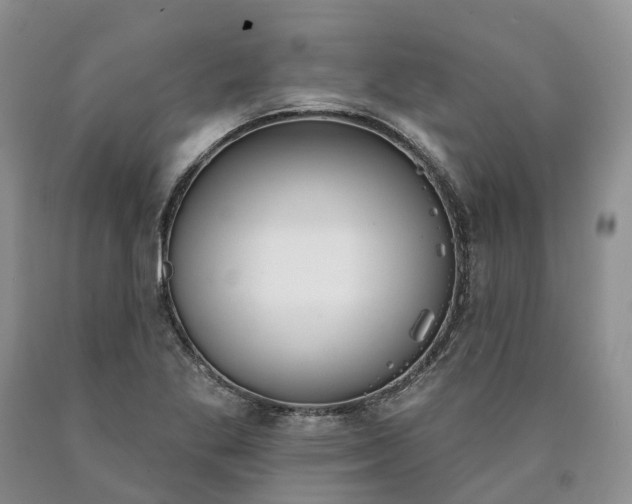 X0000090461269200707201327