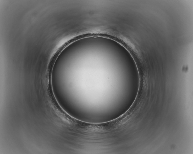 X0000090461270200707201327
