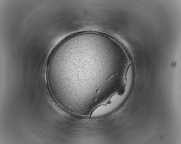 X0000090461272200707201327