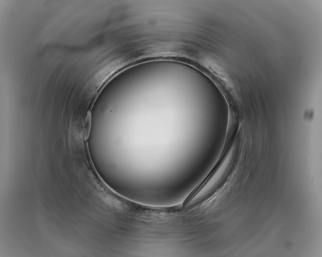 X0000090461273200707201327