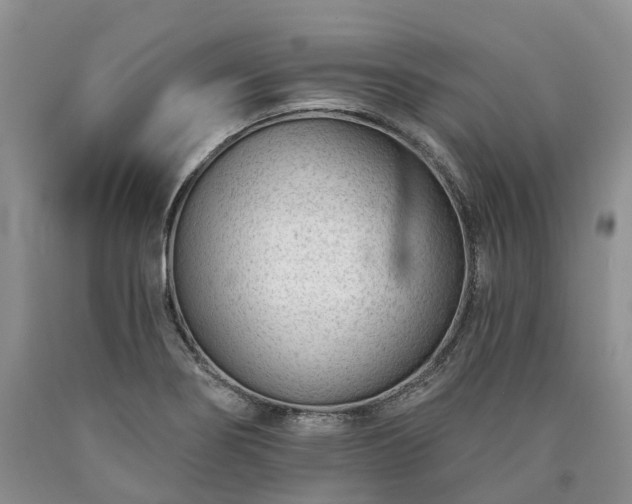 X0000090461274200707201327