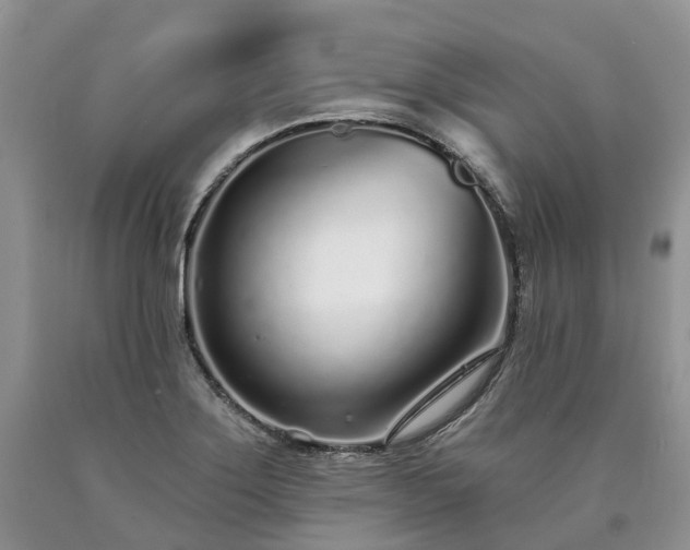 X0000090461275200707201326