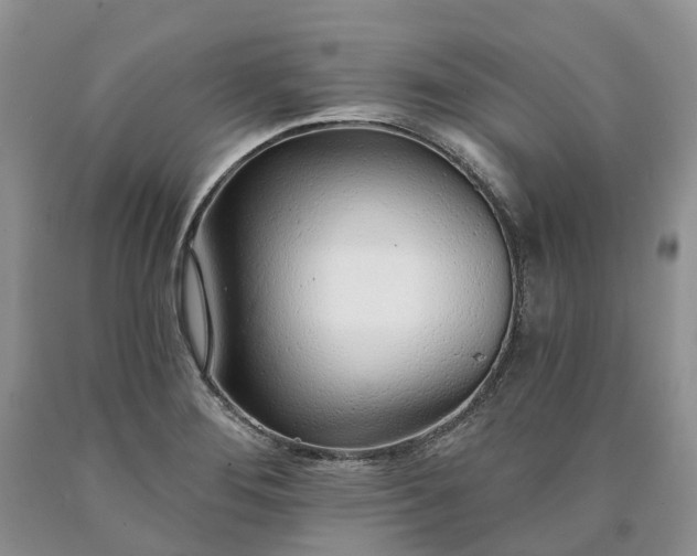 X0000090461276200707201326