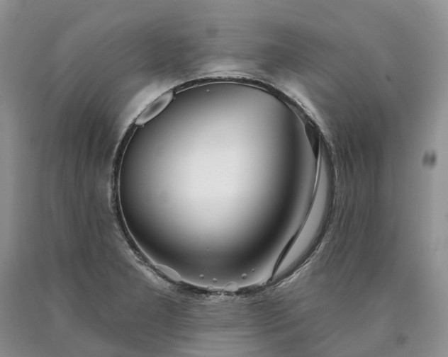 X0000090461277200707201326