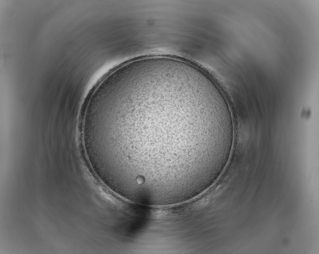 X0000090461278200707201326