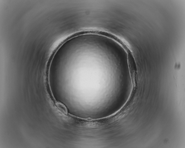 X0000090461279200707201326