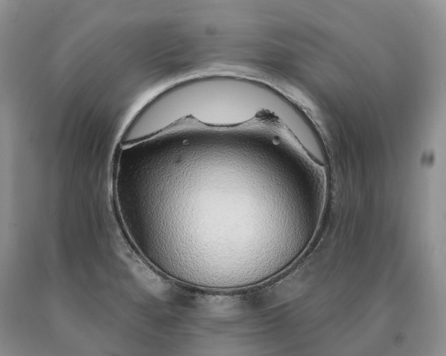 X0000090461280200707201326