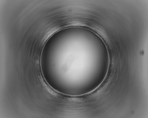 X0000090461281200707201326