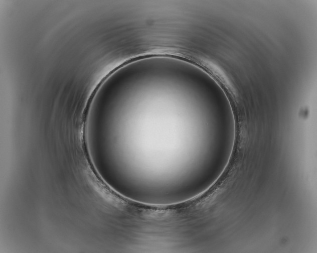 X0000090461284200707201326