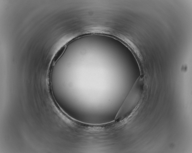 X0000090461285200707201326