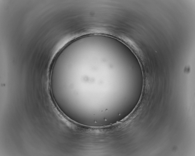 X0000090461286200707201326