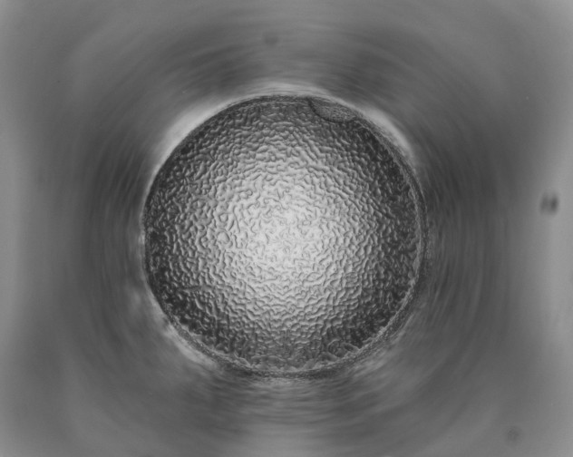 X0000090461287200707201326