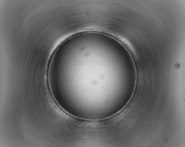 X0000090461288200707201326