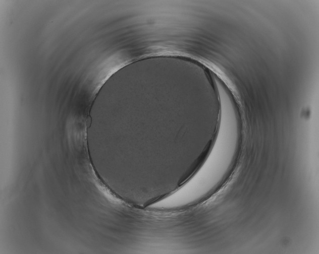 X0000090461289200707201326
