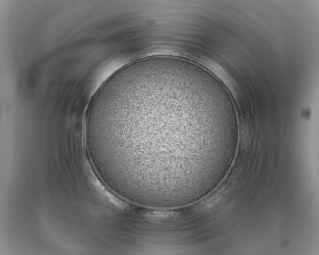 X0000090461290200707201326