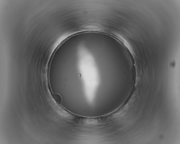 X0000090461291200707201326