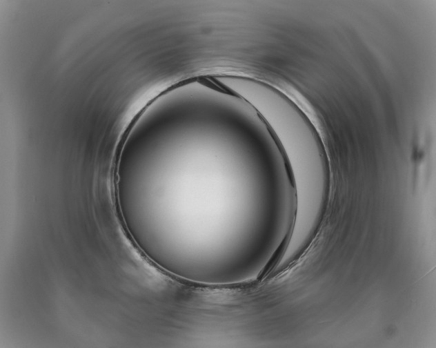 X0000090461293200707201326
