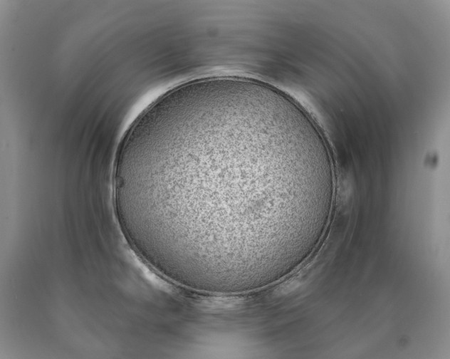 X0000090461294200707201326