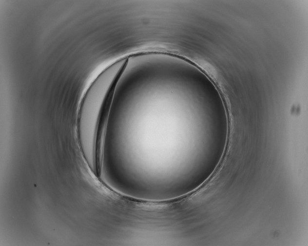 X0000090461296200707201326