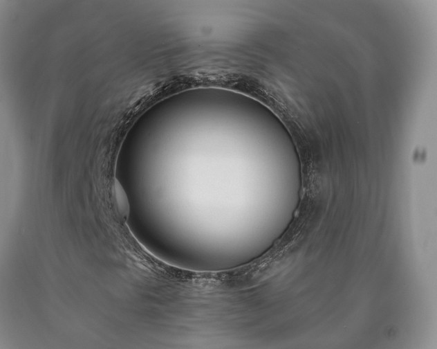 X0000090461297200707201326