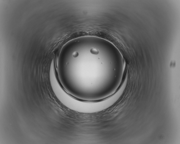 X0000090461298200707201326