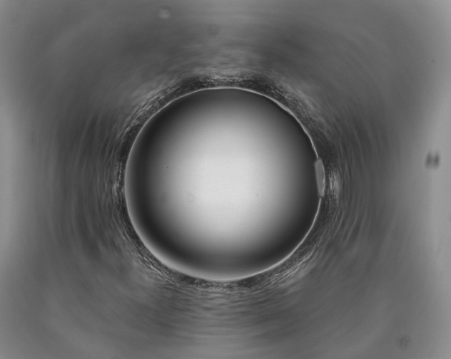 X0000090461300200707201326