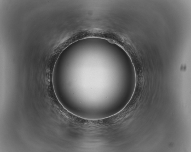 X0000090461301200707201326