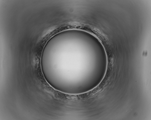 X0000090461302200707201326
