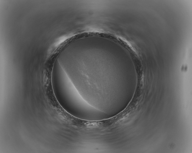 X0000090461303200707201326