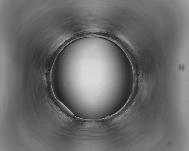 X0000090461305200707201326