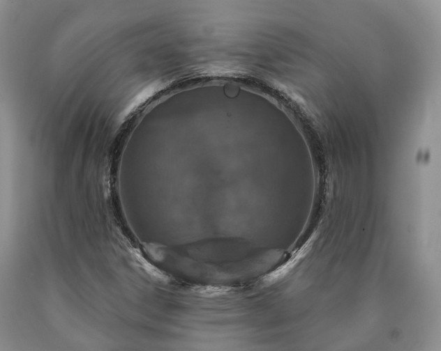 X0000090461306200707201326