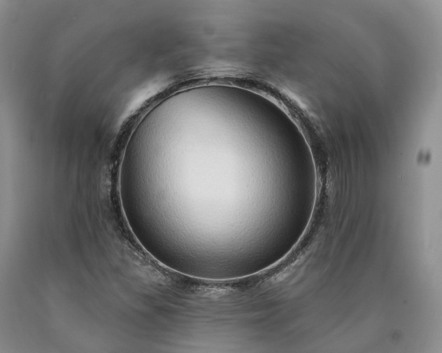 X0000090461309200707201326