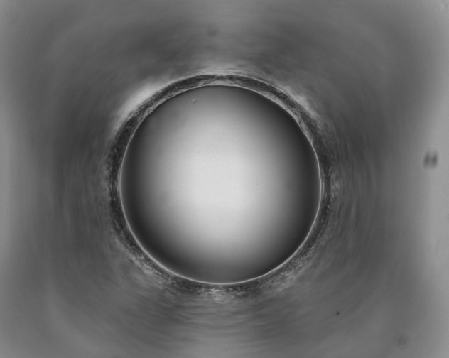 X0000090461311200707201326