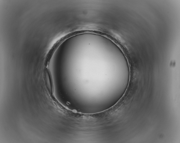 X0000090461312200707201326