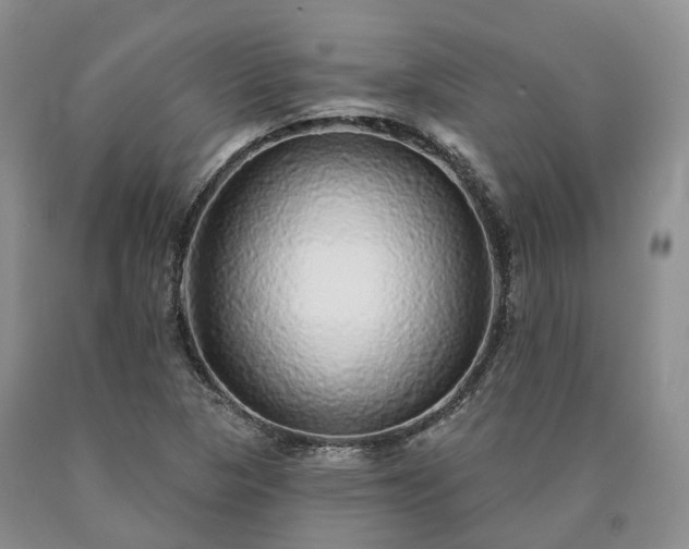 X0000090461313200707201326
