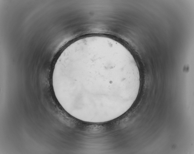 X0000090461314200707201326