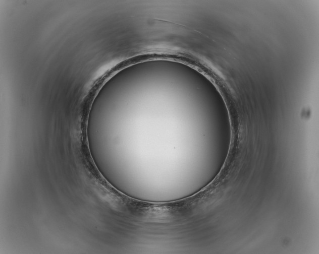 X0000090461315200707201326