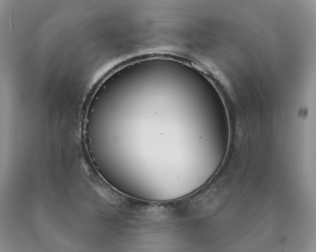 X0000090461316200707201326