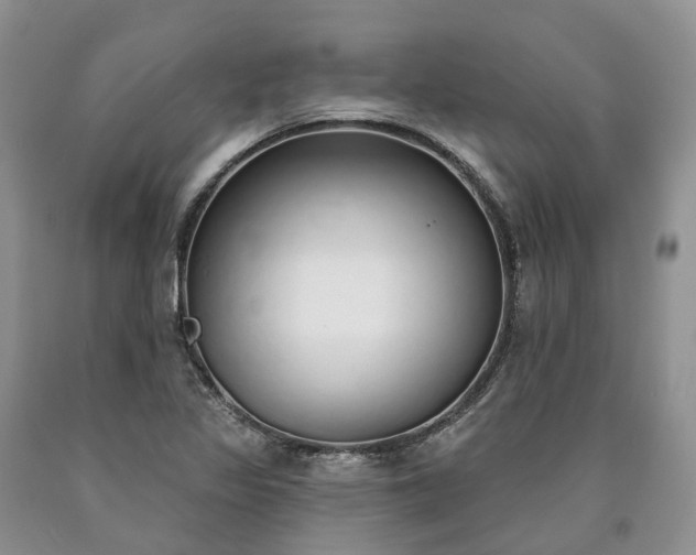 X0000090461317200707201326
