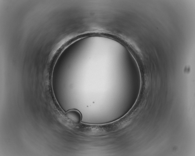 X0000090461318200707201326
