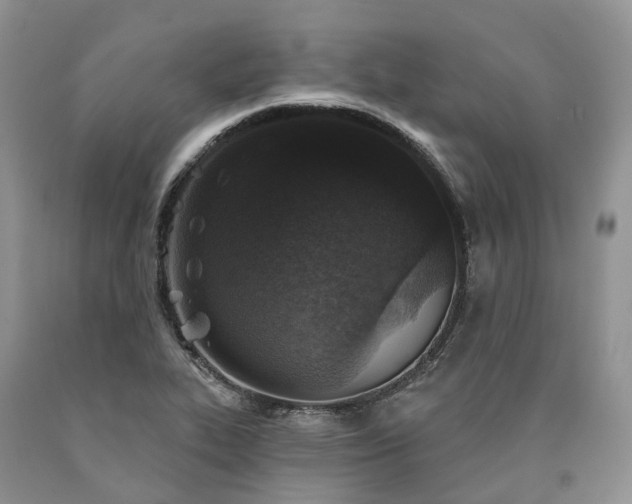 X0000090461319200707201326