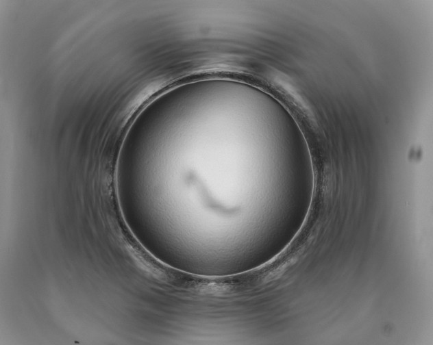 X0000090461321200707201326