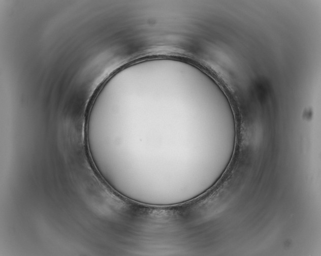 X0000090461322200707201326