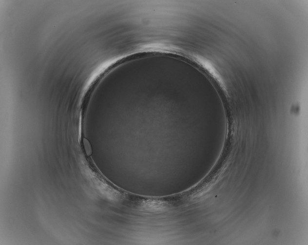 X0000090461323200707201326