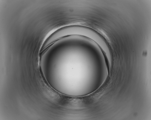 X0000090461324200707201326