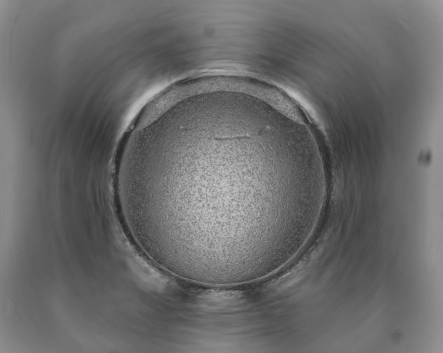 X0000090461325200707201326