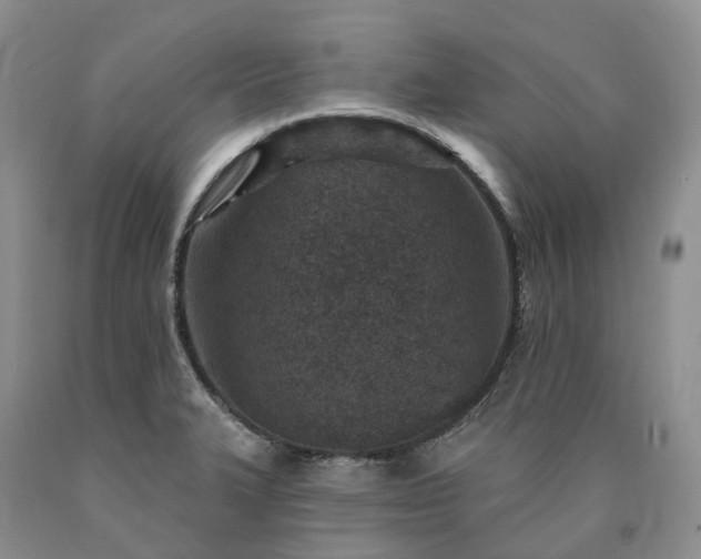 X0000090461327200707201326