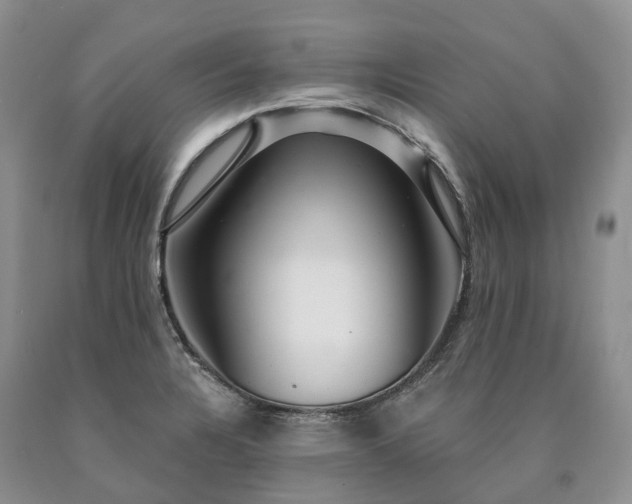 X0000090461328200707201326