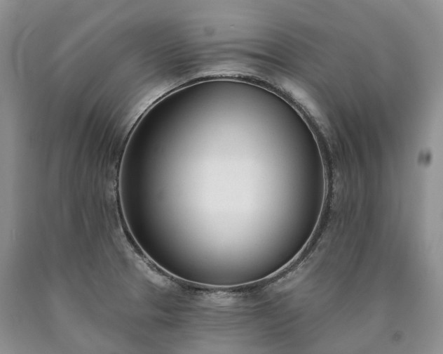 X0000090461329200707201326