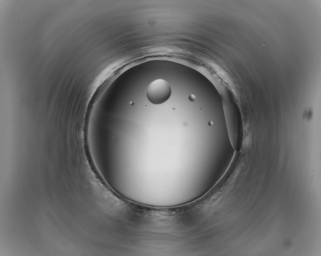 X0000090461330200707201326